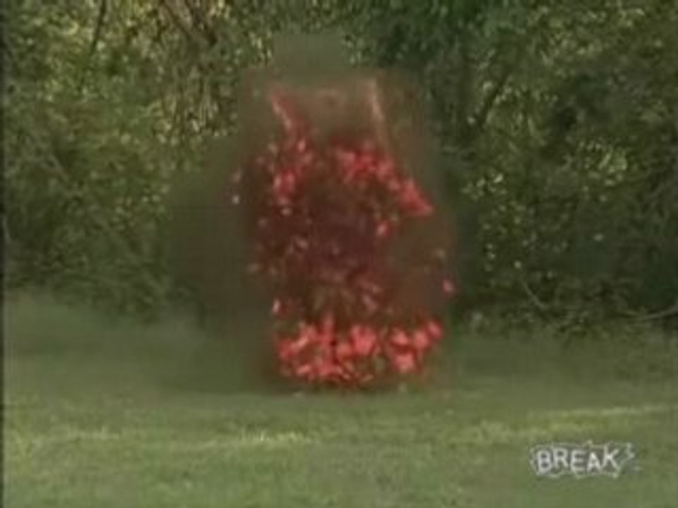 Biggest Shotgun In The World