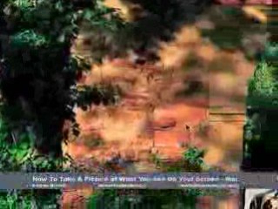 How to Take a Picture of What You See On Your Screen (Mac)