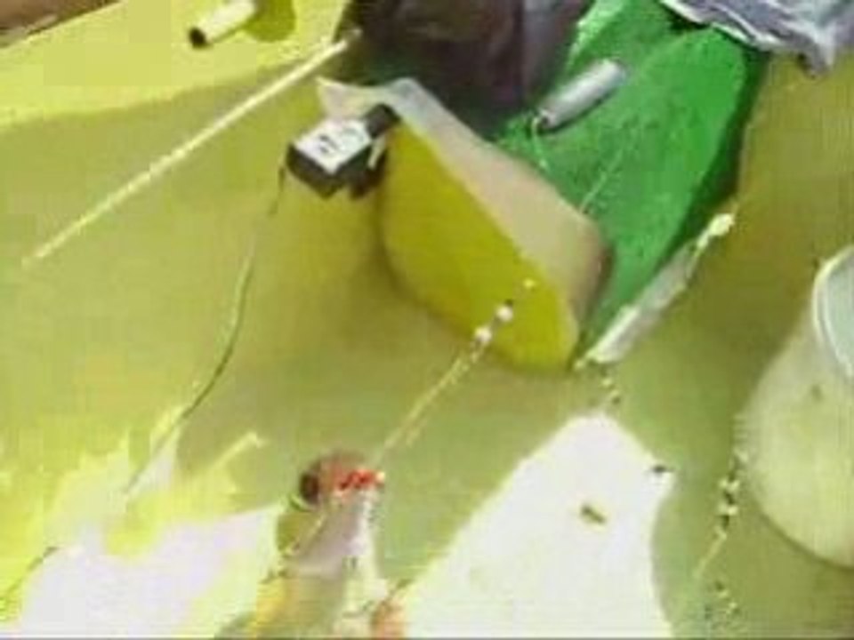 MANDAGÖZ  MERCAN (lekeli Mercan) Avı 450mt.