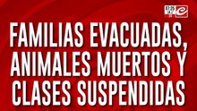 Violento temporal de lluvia y viento causa estragos en Santa Fe