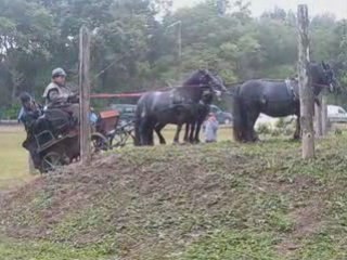 TREC attelé Fleury la Riviere
