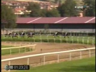 2008 (324) Premio IBERSELEC (SHARK TOOTH -IRE-)