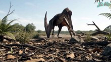 Quetzalcoatlus: Thằn Lằn Bay Khổng Lồ Vừa Đi Bộ Vừa Bay | Phim Tài Liệu Động Vật Hoang Dã