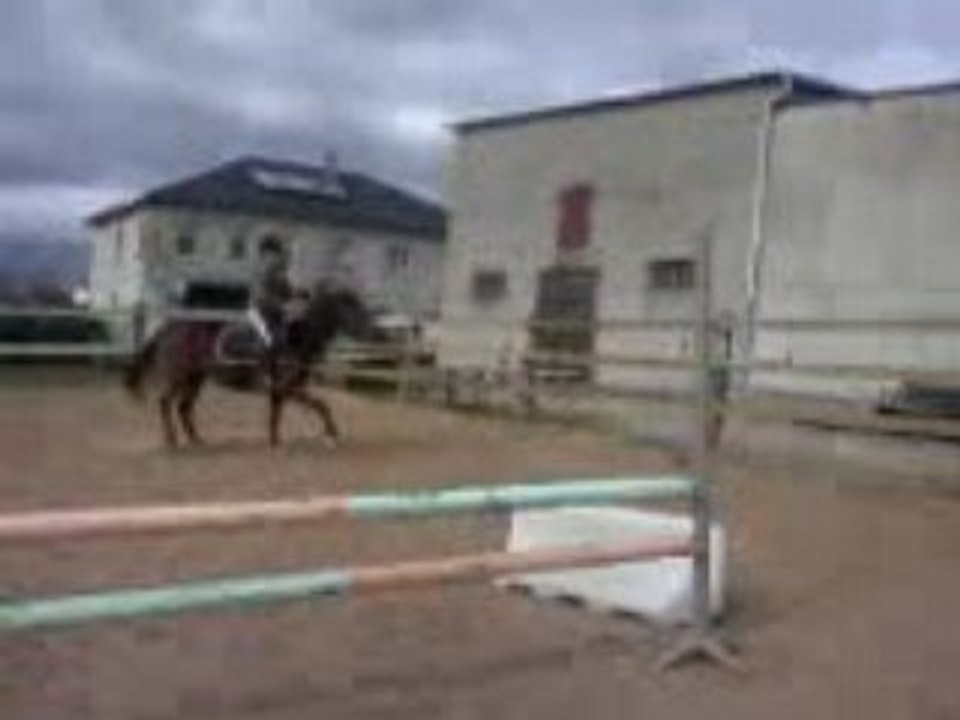Choe sur roris