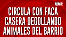 Denuncian que circula con faca y degolla a los animales del barrio