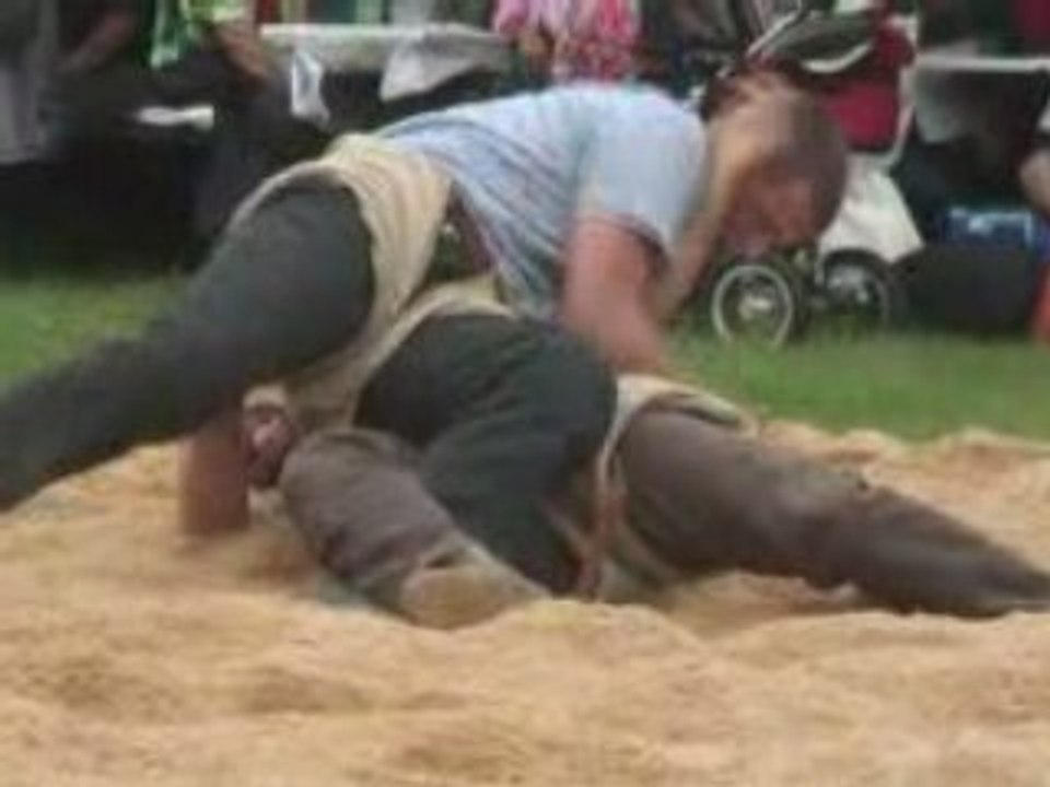 Schwingen1-01
