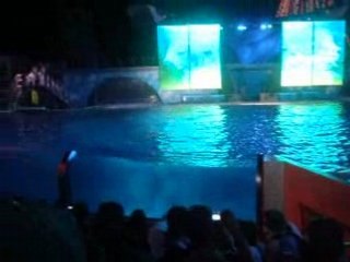 SAMEDI 30 AOUT - SEA WORLD SAN DIEGO