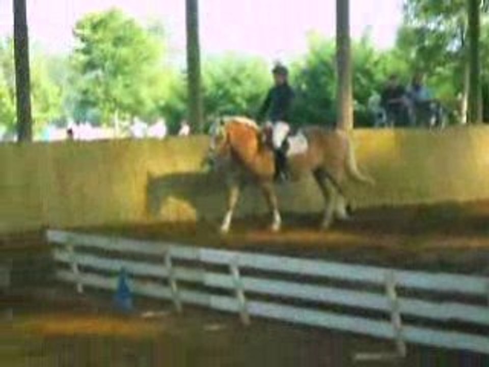 Reprise dressage CCE club3 Laizé