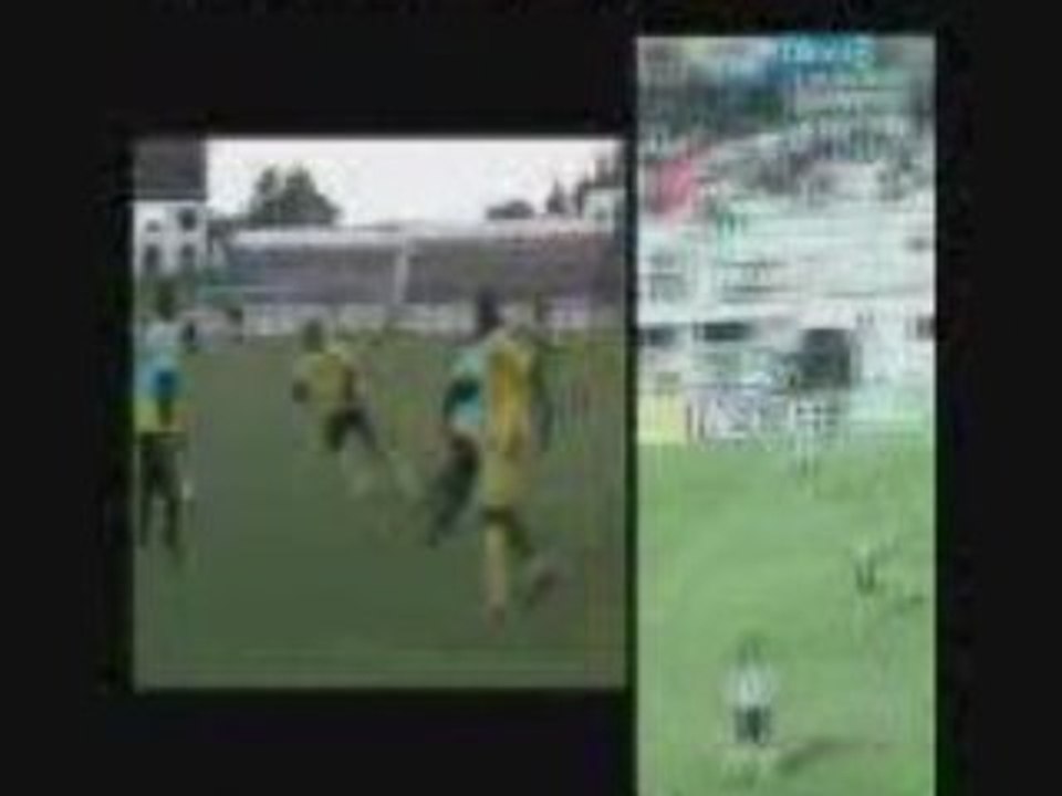 bledar mdr foot tunis alegerie maroc egypte arabe