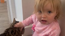 Tiny Toddler Provokes Cat and Receives a Sneaky Nibble in Return