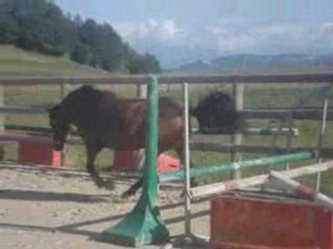 Saut en liberté - carrière