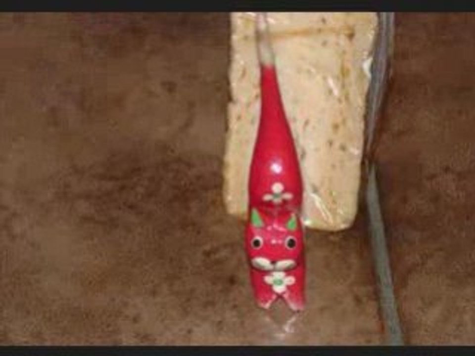 Une aventure de Chatfleuri