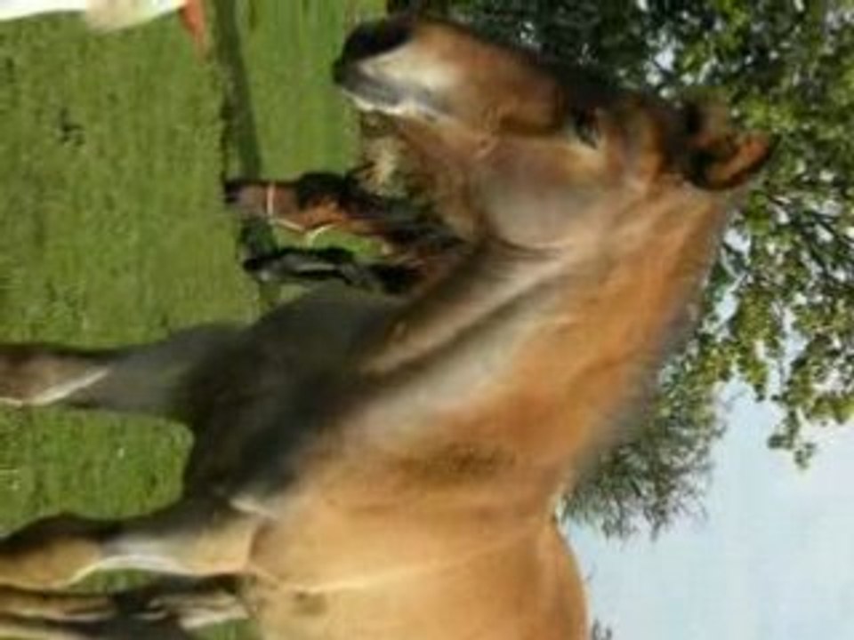 Ulyne 31aout 08 078