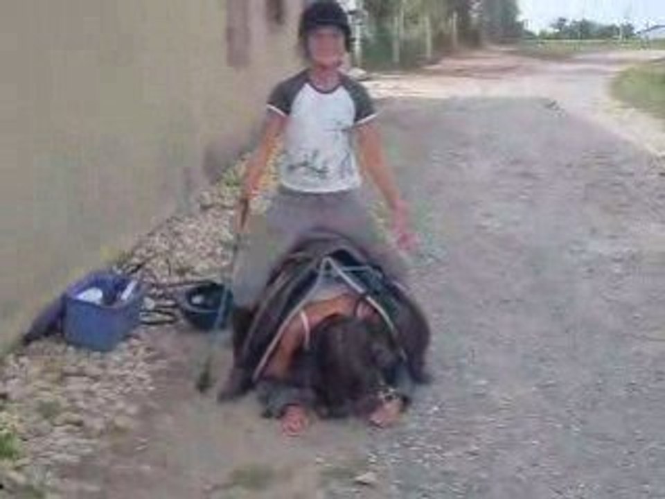 Vidéo zizette