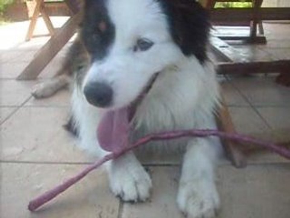 DSCN2781