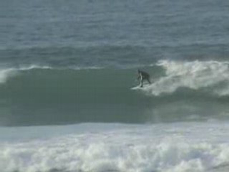 Sciotot-Surf21-01-2006