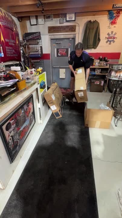 Frenchie Hilariously Chases Delivery Man Carrying Parcel - video ...