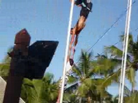 Le trapeze catch nid doiseau