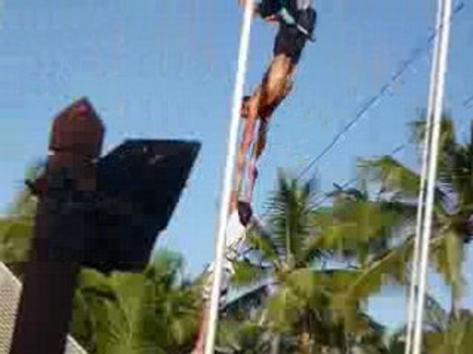 Le trapeze catch nid doiseau