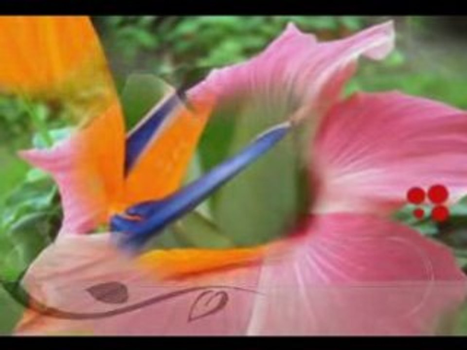 Naïma - Avec ou sans toi