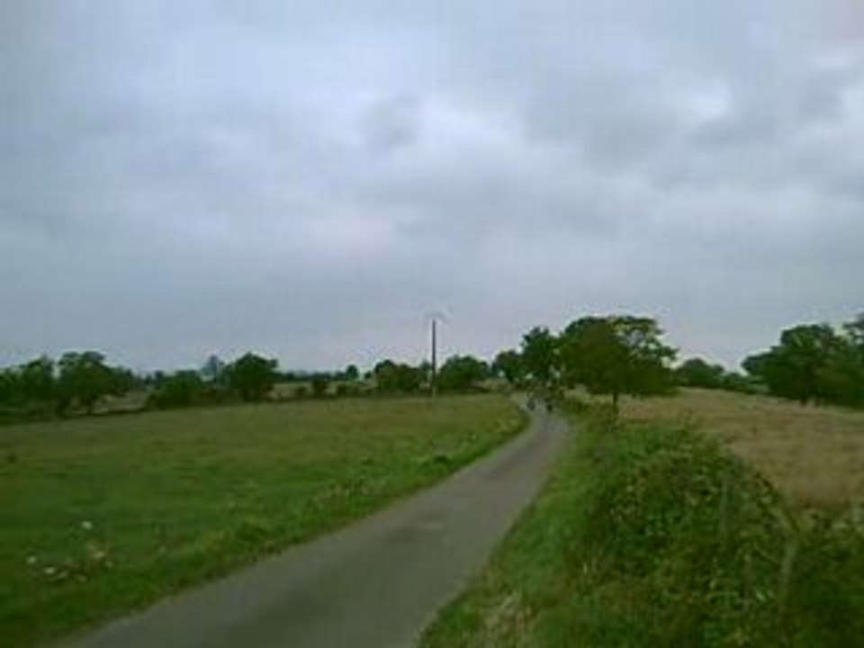 betarr46