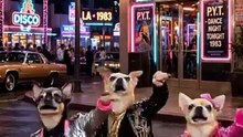 Funny Cat & Dog Videos 😻 Adorable Dancing Cats & Dog #dogfunny #catfunny