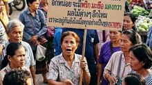 ใบกะเพรา ถูกจดควบคุมพืชเกษตรแล้ว