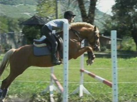 Seance d'obstacle avec ignes suite = )