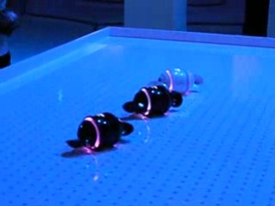 Sony Rolly @ IFA Berlin