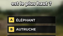 Quiz animaux de la savane : combien sur 5 ? 🦁