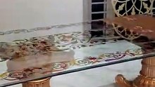 نقل عفش