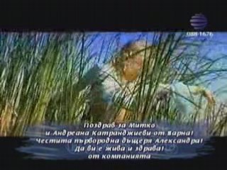 BobanZdravkovidw_Ne dolazi