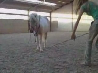 Bianca et les écuries