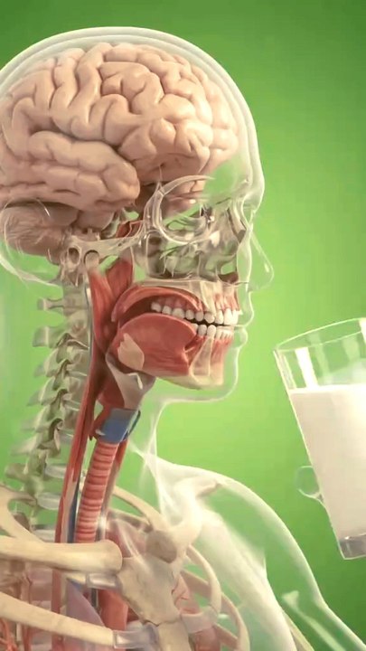 😱 What Happens Inside Your Body? 🤯 | Amazing 3D Human Anatomy#HumanBody ...