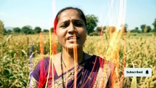 जात्यावरच्या ओव्या - शेती, माती आणि निसर्ग | Modern Marathi Folk Song
