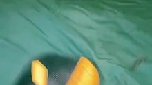 Pet Hair Cleaner Glove – Remove Fur from Furniture & Carpets