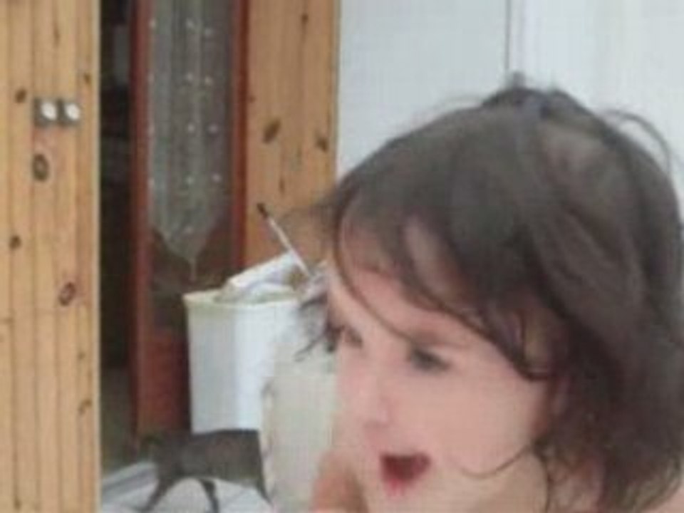 Liloulapintade