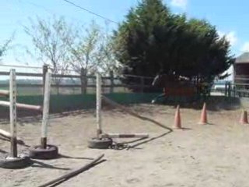 P1040070