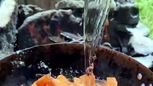 Campfire Pumpkin Fritters Recipe - Salmon & Cheese — 南瓜丸三文鱼煎蛋塔可