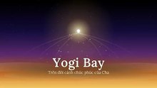 Yogi Bay