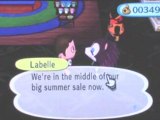 Animal Crossing Wii Gameplay5