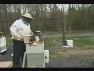 Start Bee Keeping To Get Home-Based Honey.. Yummy!