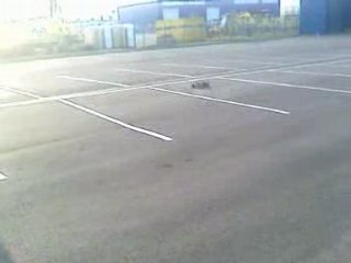 viper extreme 1/7ème