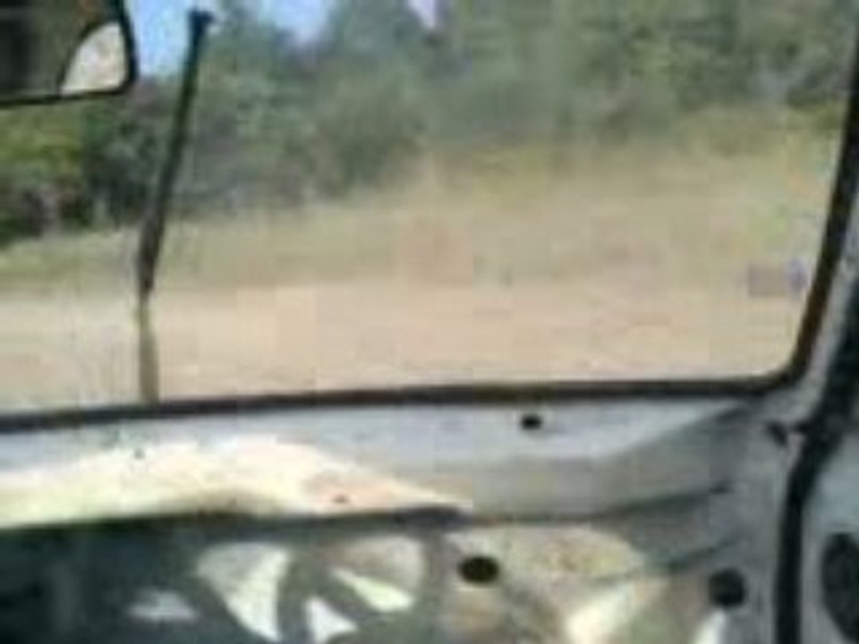auto terre