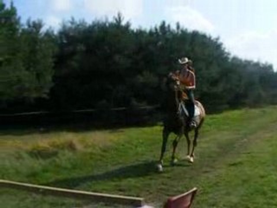 Suzyy obstacle