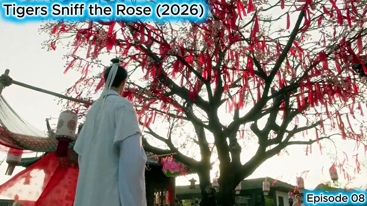 Tigers Sniff the Rose – Episode 8 ENGLISH SUBTITLES (2026) - Vidéo ...