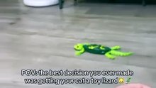 Wall-Climbing RC Gecko Toy | 360° Rotation & Breathing Lights