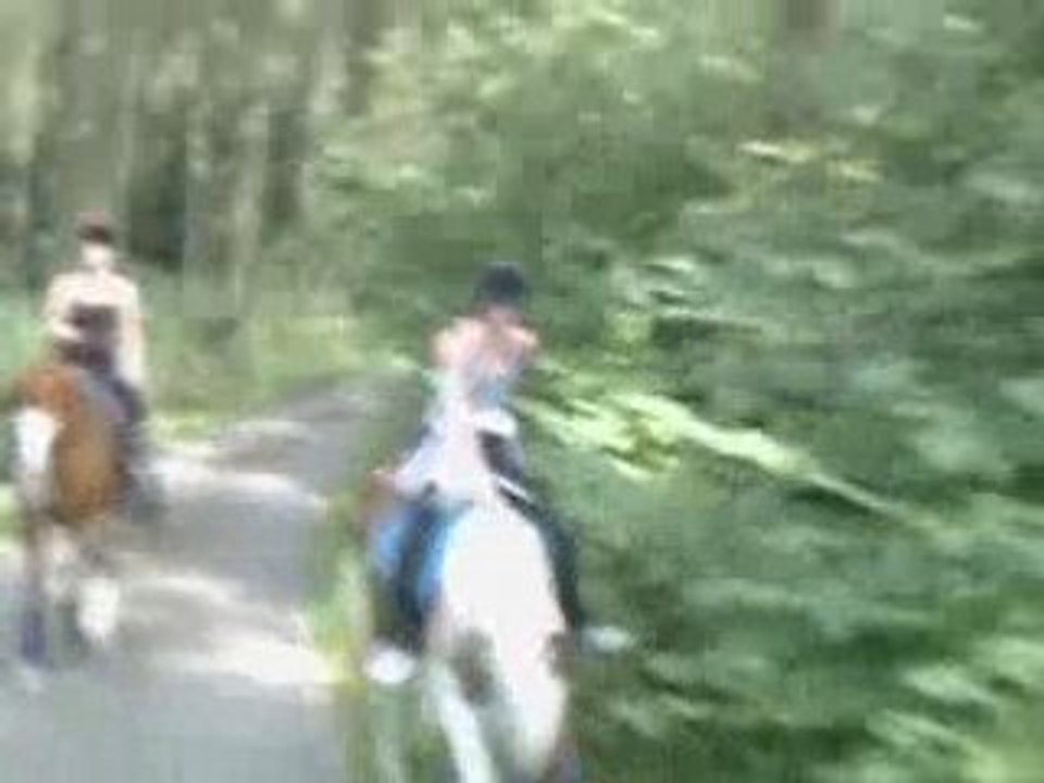 CLIP0009