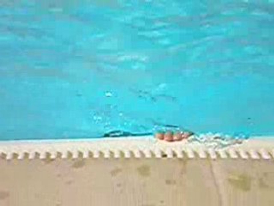 jo piscine
