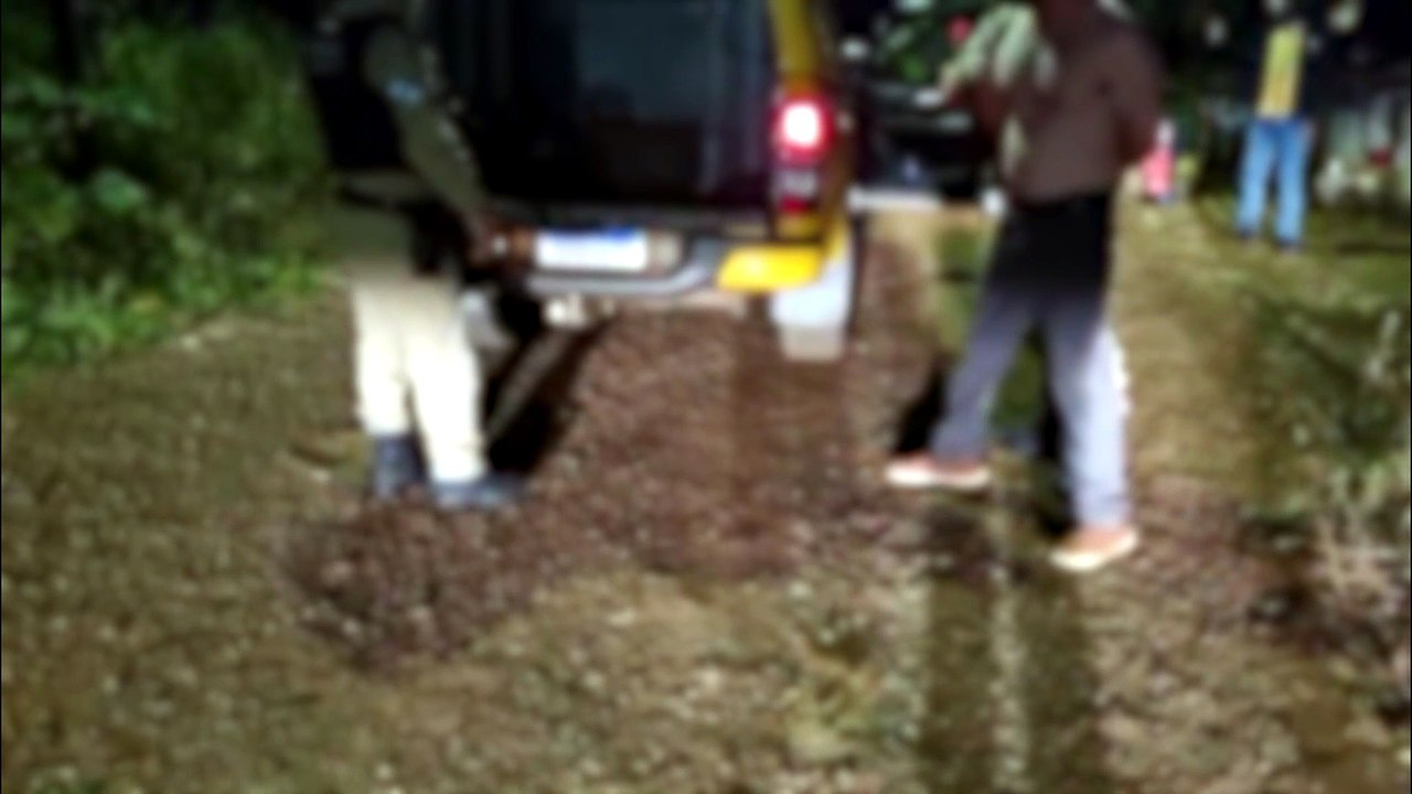 Polícia Militar captura motorista que fugiu do local do acidente no ...